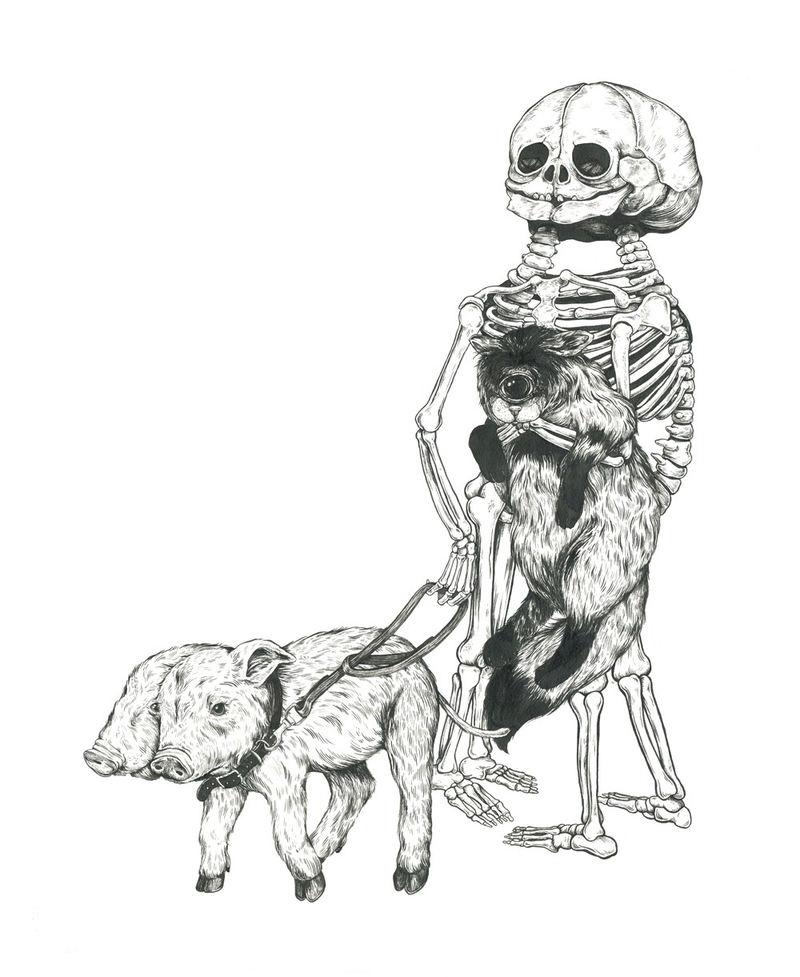 Illustration for article titled Beautiful art celebrates anatomical oddities